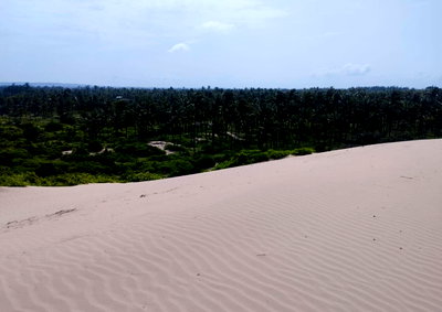 51-Acre Oceanfront Land in Ngomeni