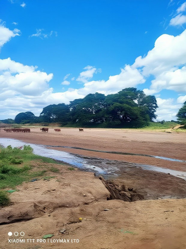 2 Acres Mashuru Kajiado