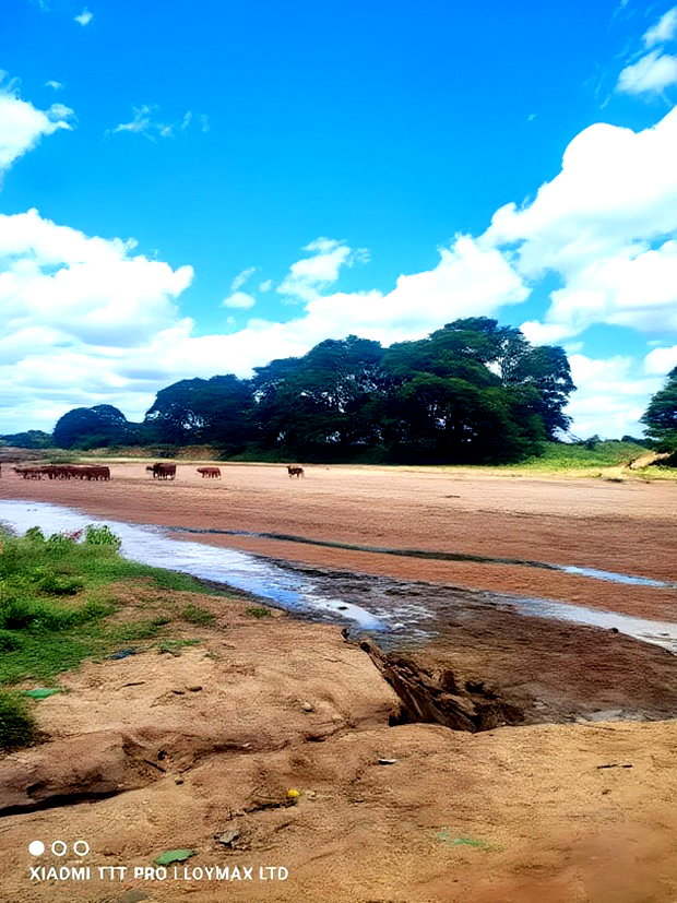 2 Acres Mashuru Kajiado