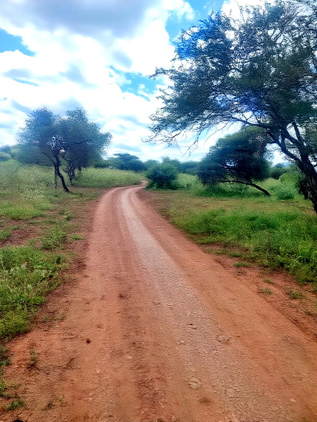 2 Acres Mashuru Kajiado