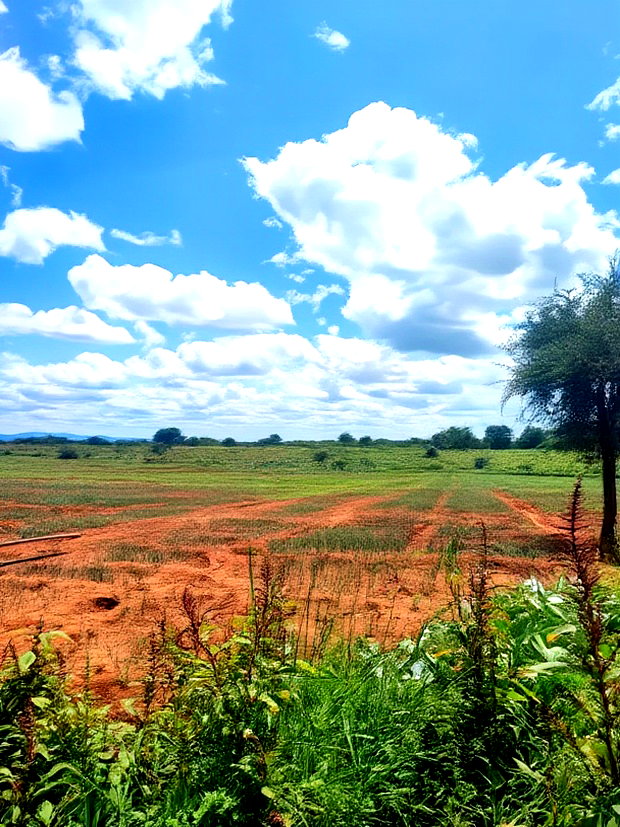 2 Acres Mashuru Kajiado