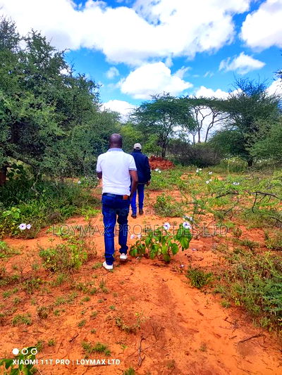 2 Acres Mashuru Kajiado - Image 7