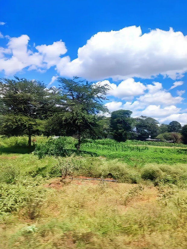 2 Acres Mashuru Kajiado