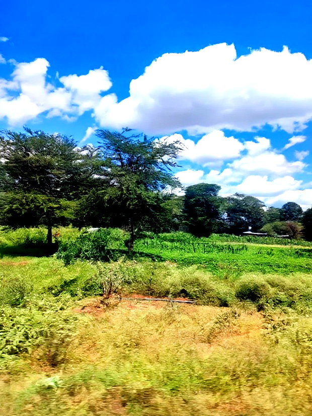 2 Acres Mashuru Kajiado