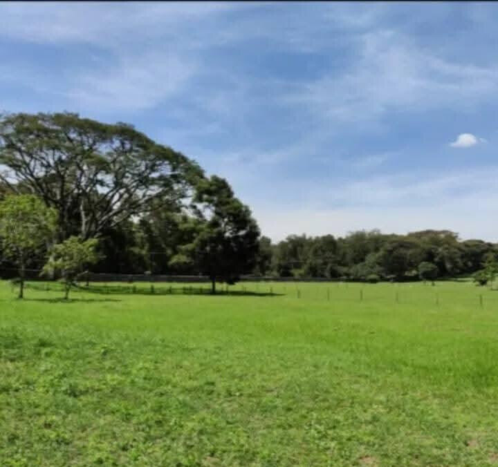 1-Acre Karen Plot at KSh 105M