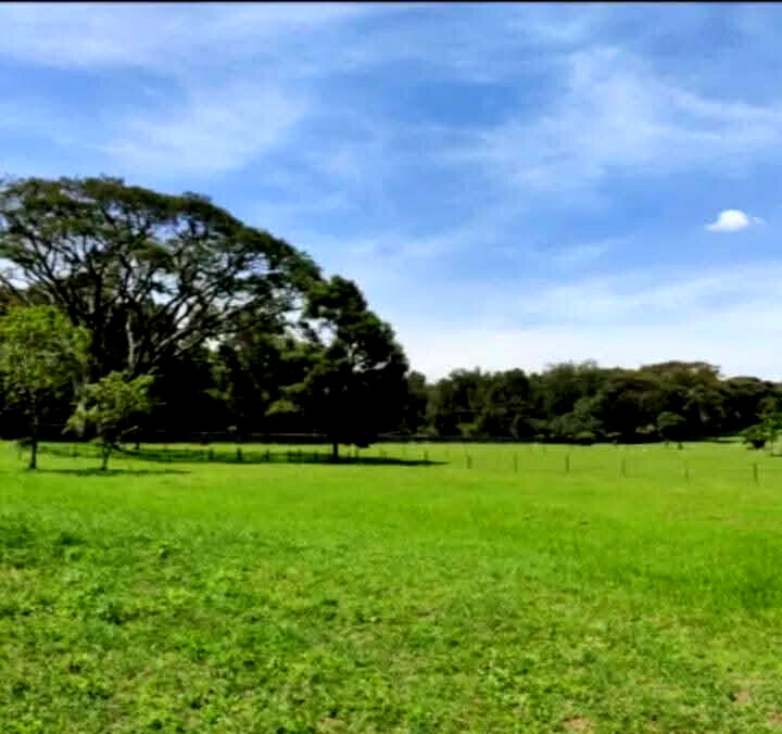 1-Acre Karen Plot at KSh 105M