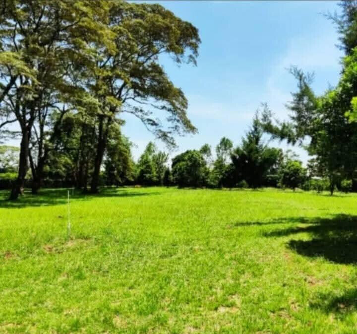 1-Acre Karen Plot at KSh 105M