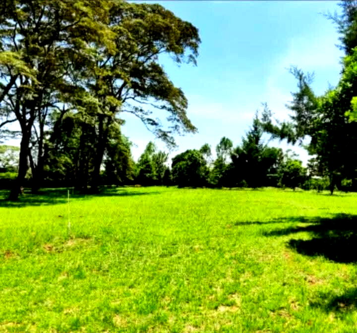 1-Acre Karen Plot at KSh 105M