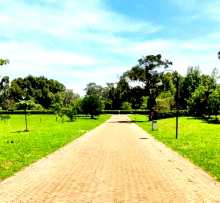 1-Acre Karen Plot at KSh 105M