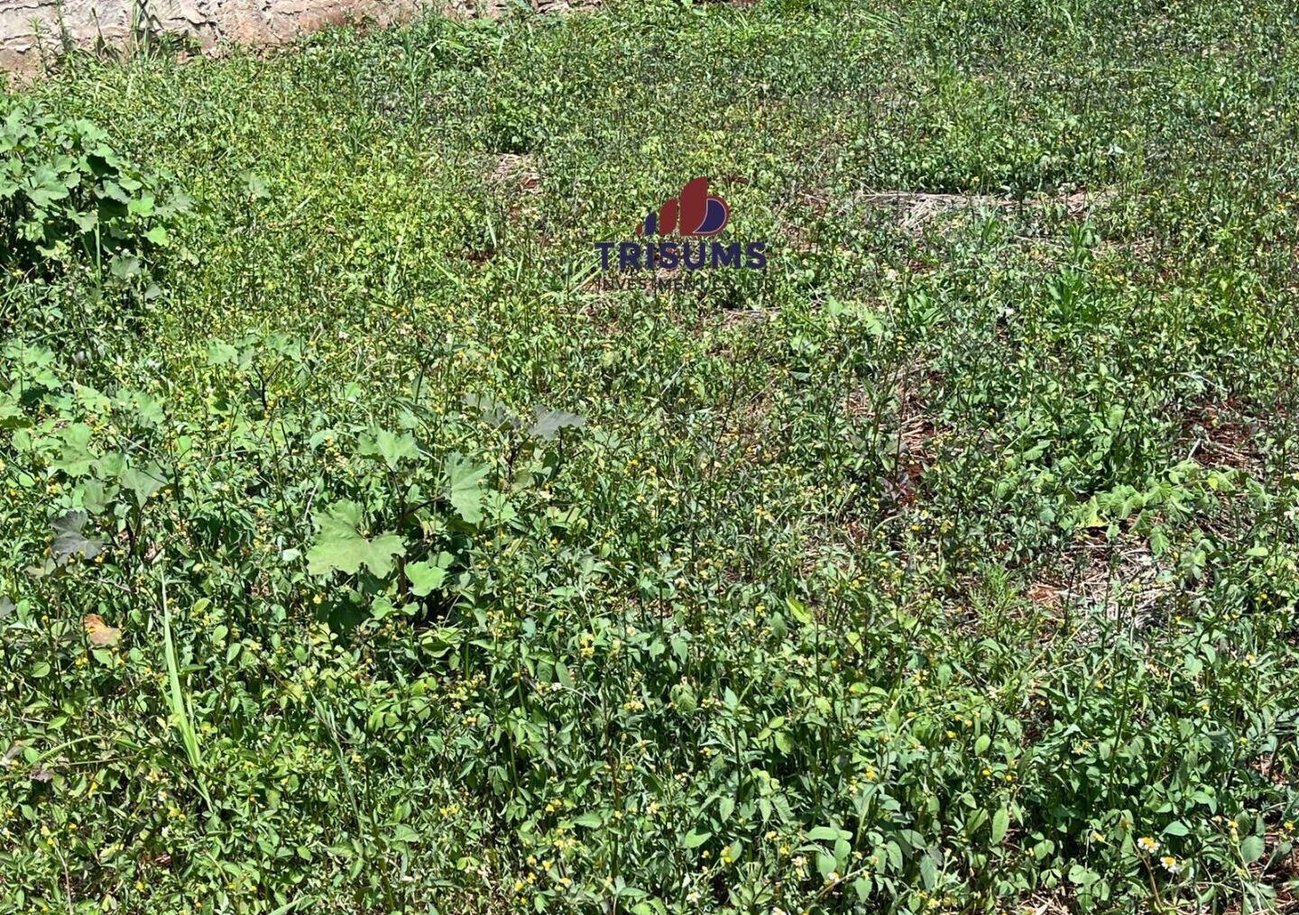 Half Acre Runda Gem at KSh 65M