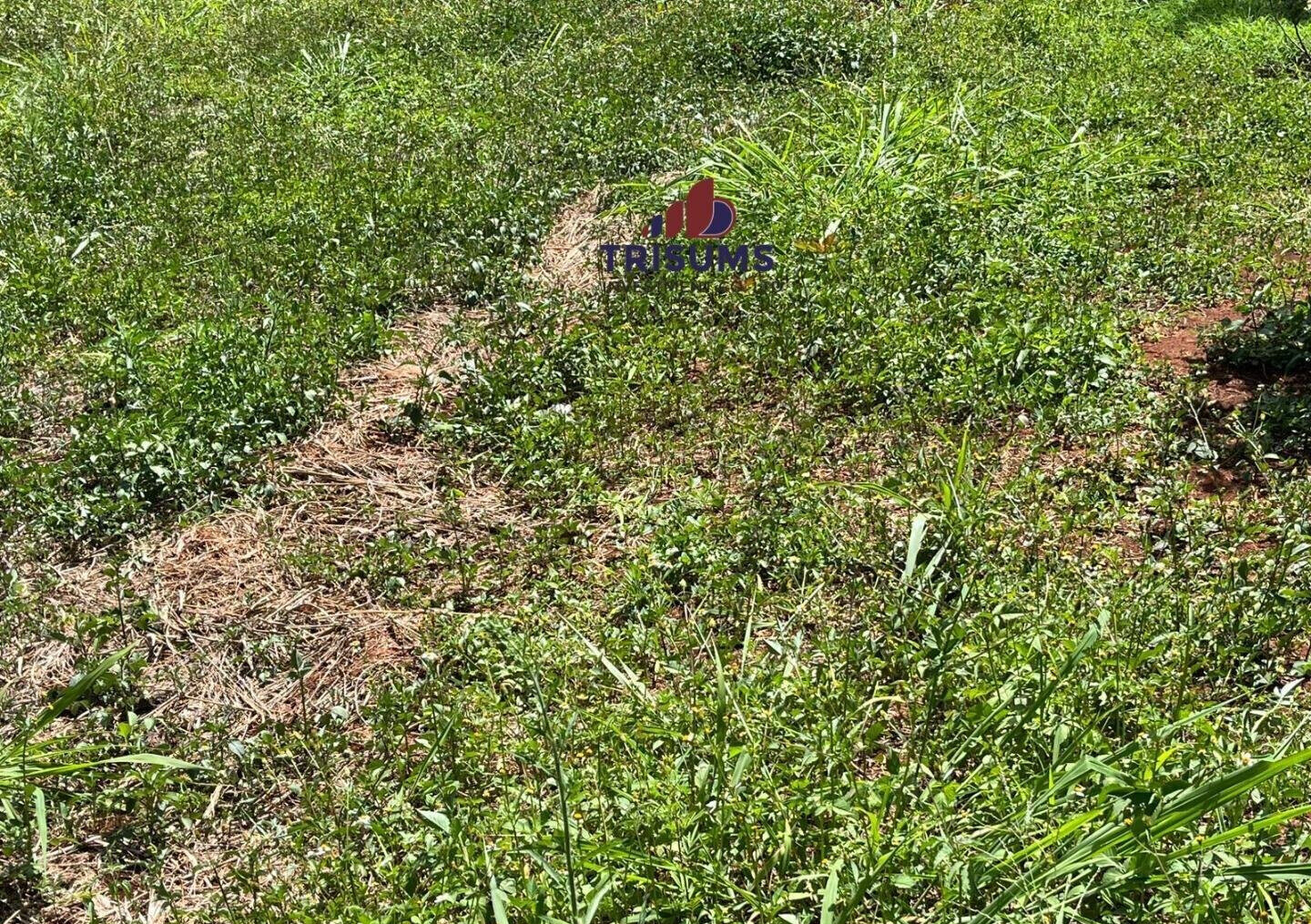 Half Acre Runda Gem at KSh 65M