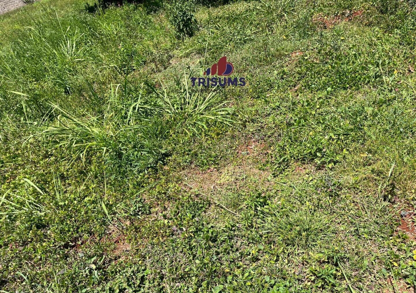 Half Acre Runda Gem at KSh 65M