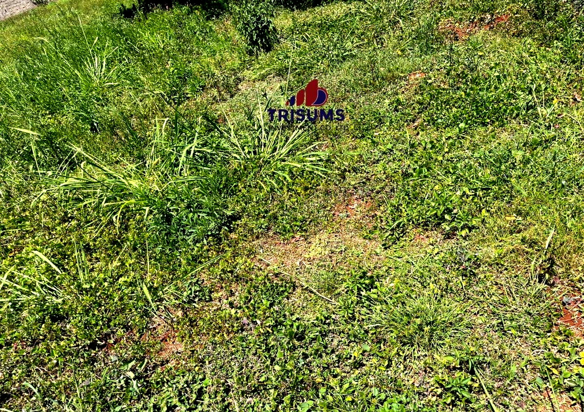 Half Acre Runda Gem at KSh 65M