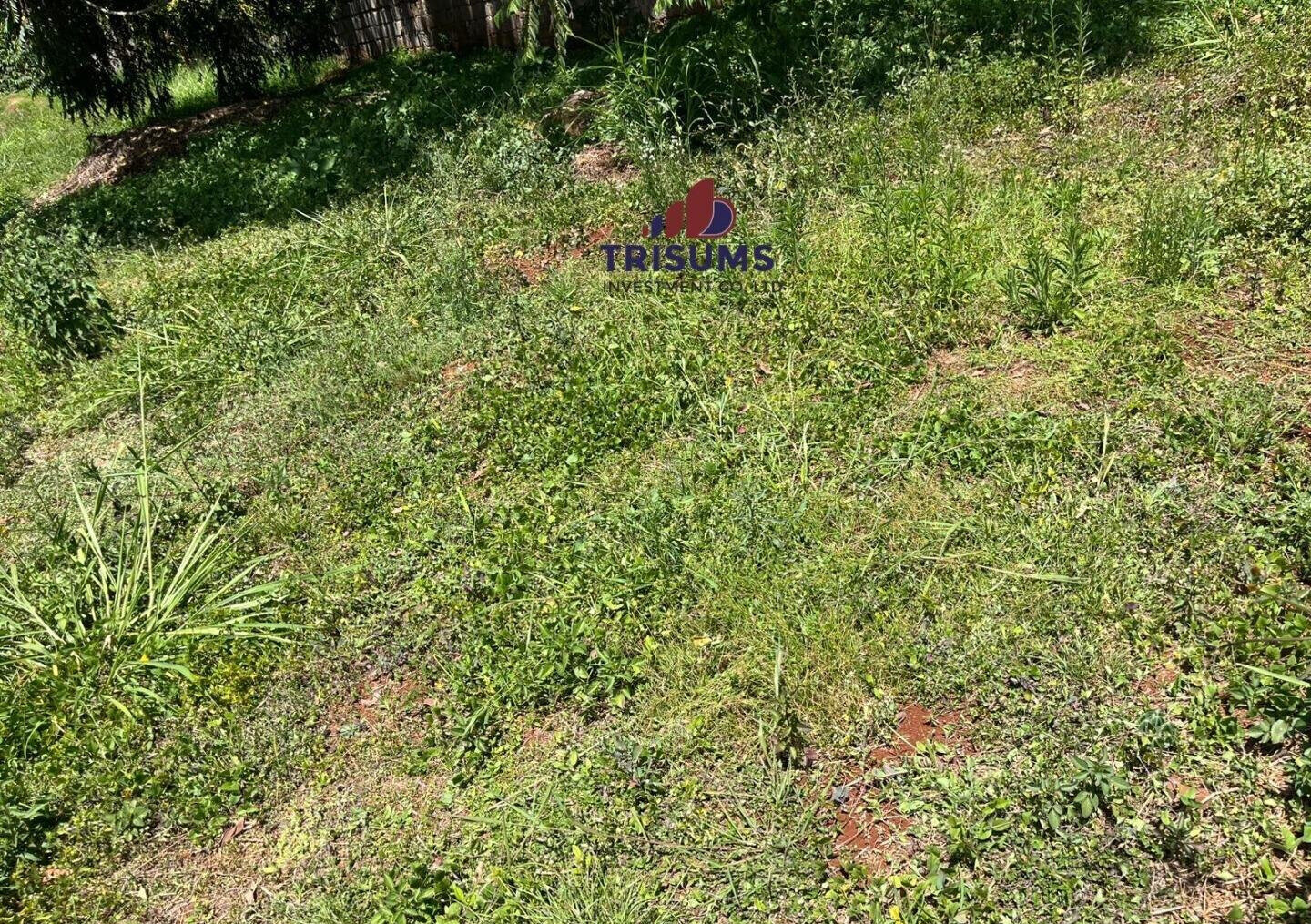 Half Acre Runda Gem at KSh 65M