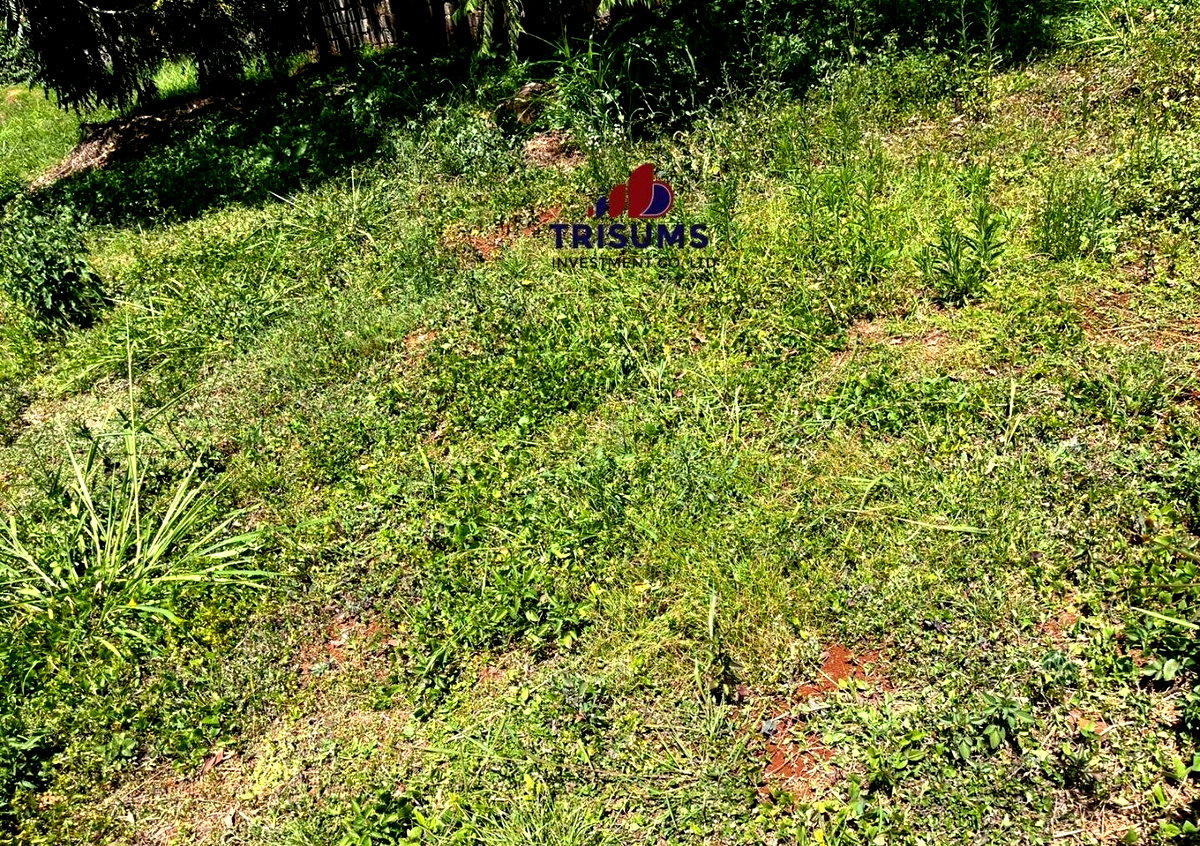 Half Acre Runda Gem at KSh 65M