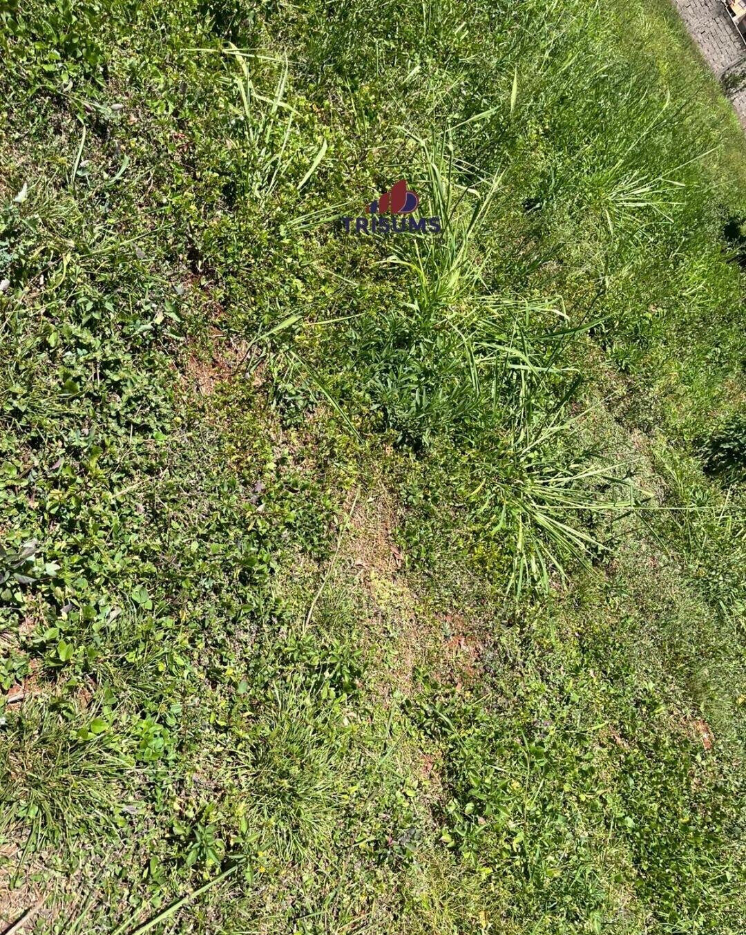 Half Acre Runda Gem at KSh 65M