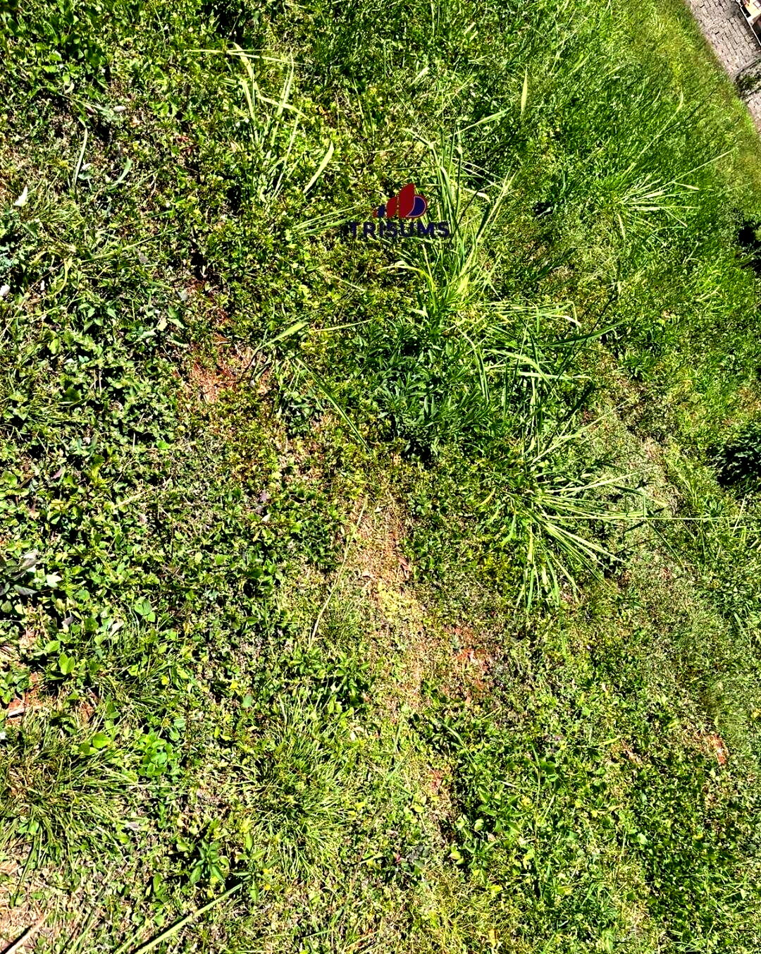 Half Acre Runda Gem at KSh 65M