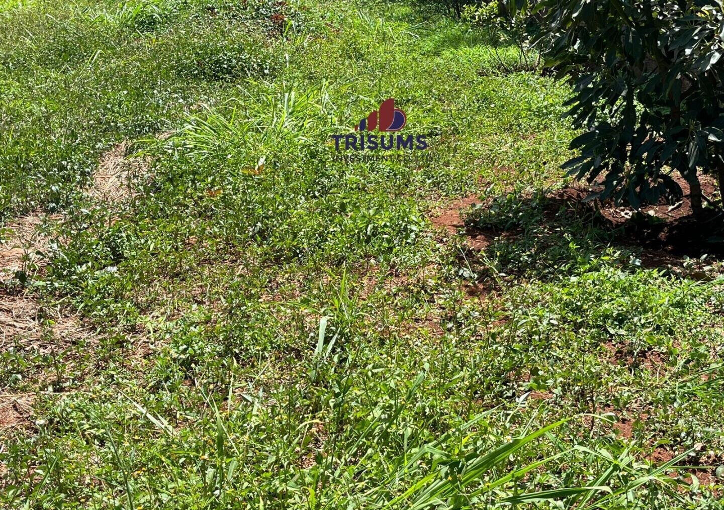Half Acre Runda Gem at KSh 65M