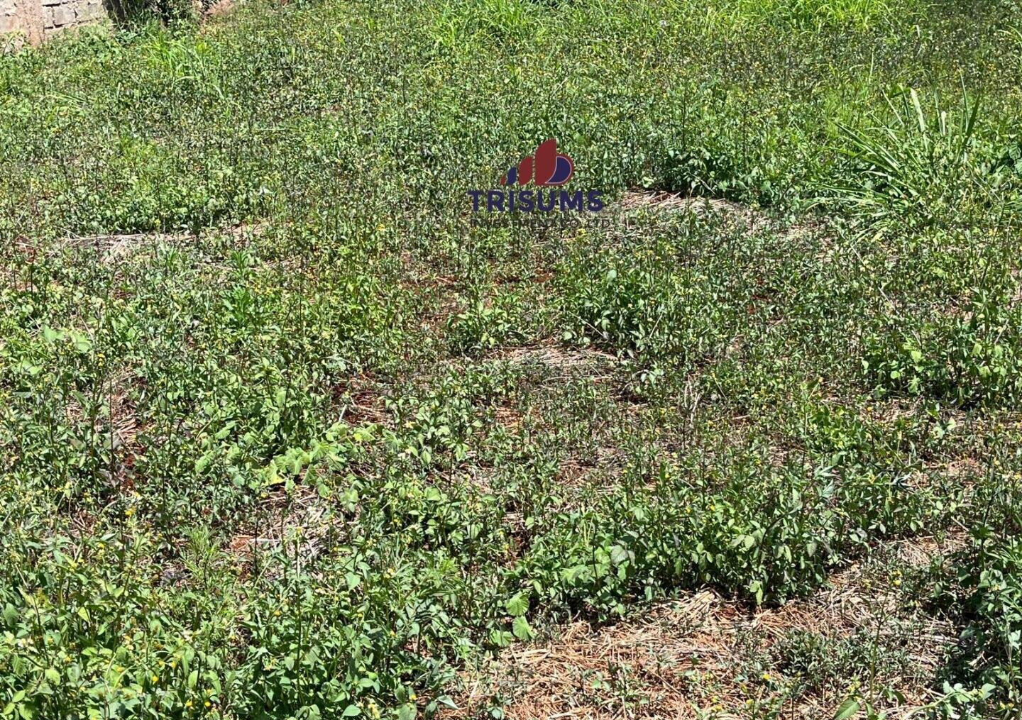 Half Acre Runda Gem at KSh 65M