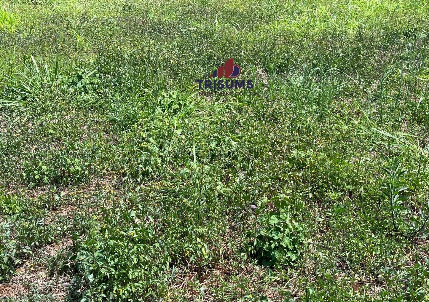 Half Acre Runda Gem at KSh 65M