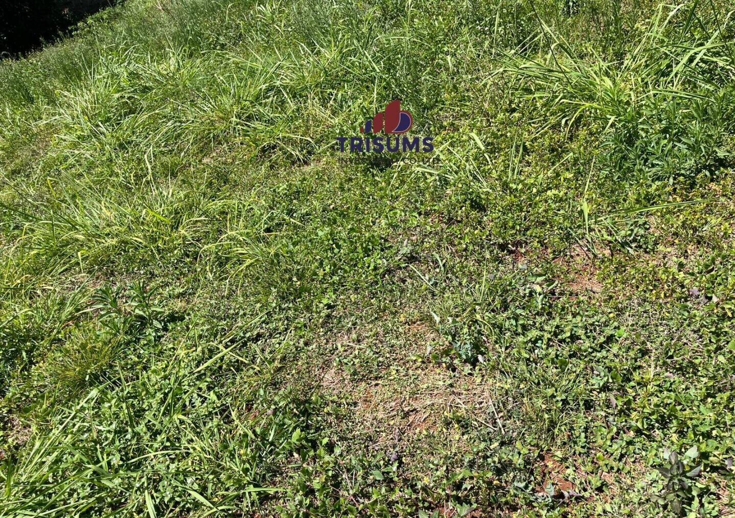 Half Acre Runda Gem at KSh 65M