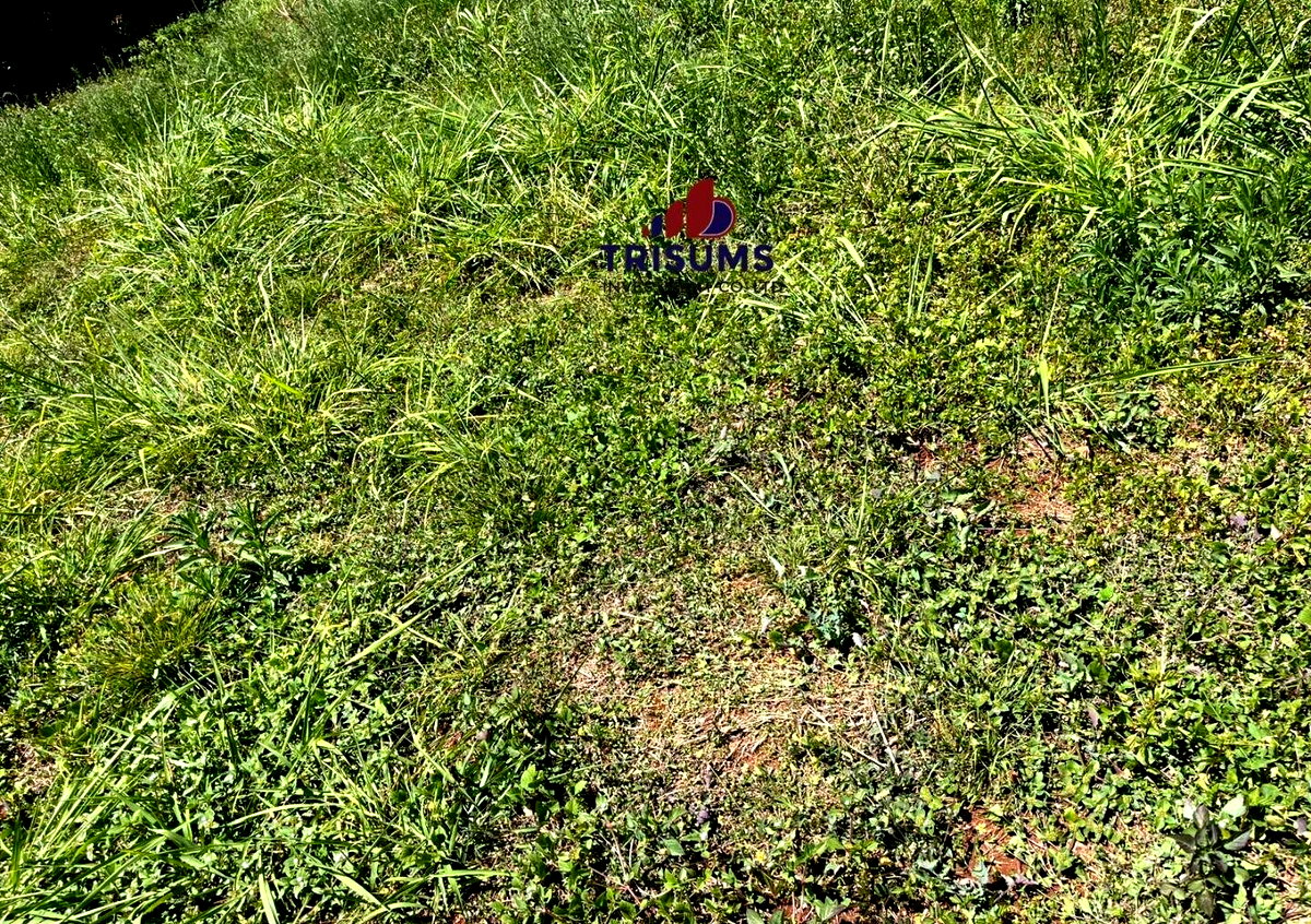 Half Acre Runda Gem at KSh 65M