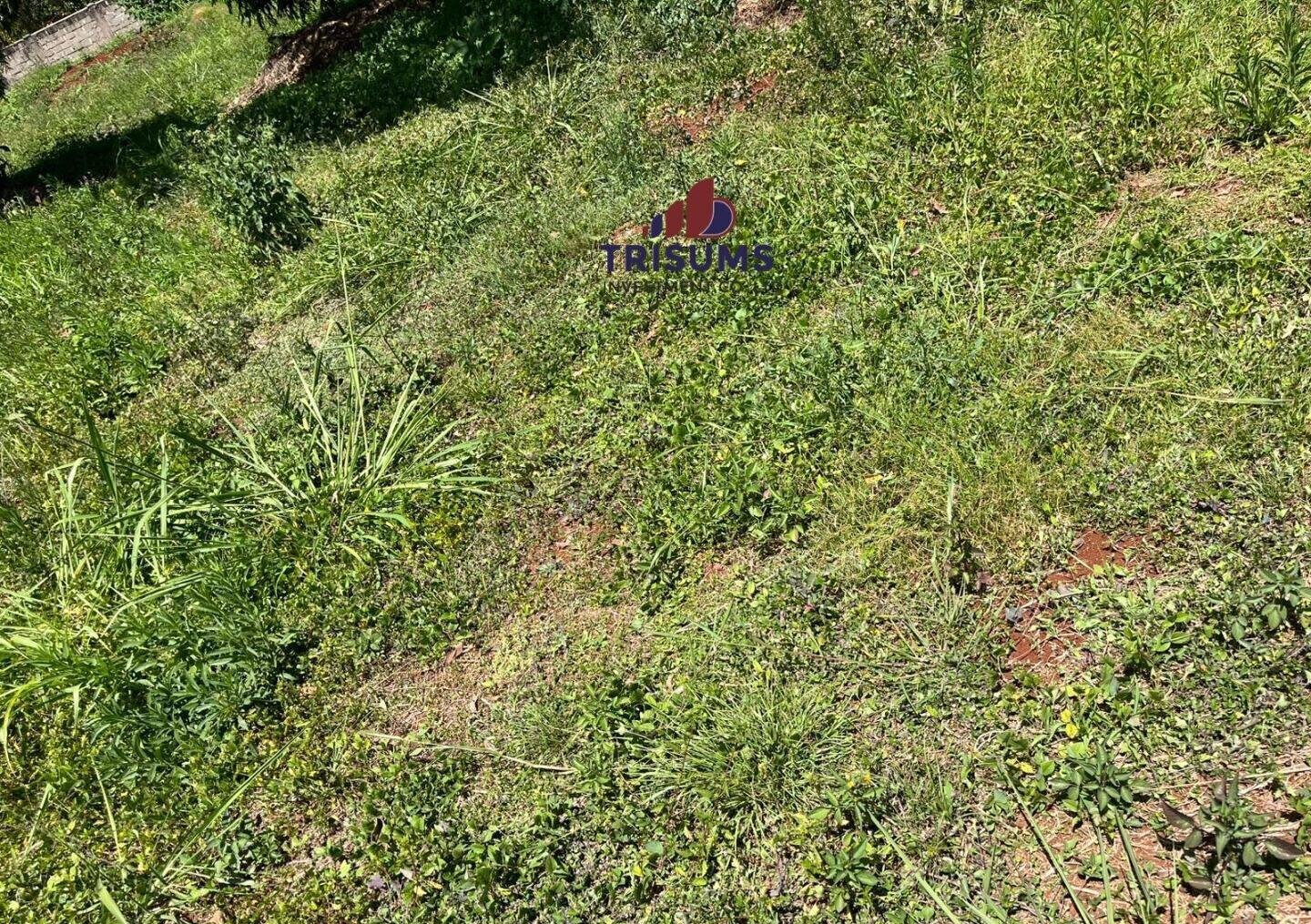 Half Acre Runda Gem at KSh 65M