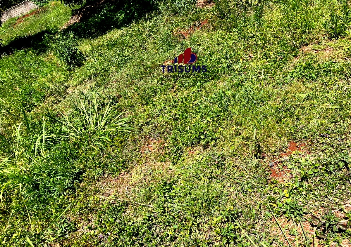 Half Acre Runda Gem at KSh 65M