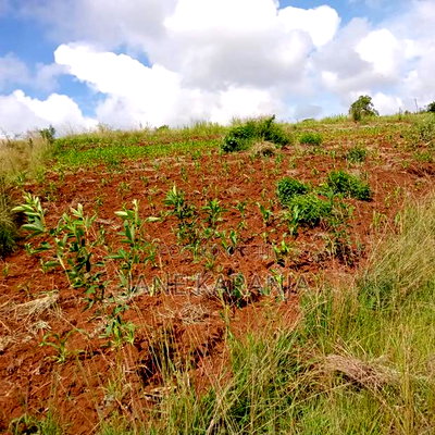 Quarter Acre for Sale Weteithie Thika 2.3m - Image 3