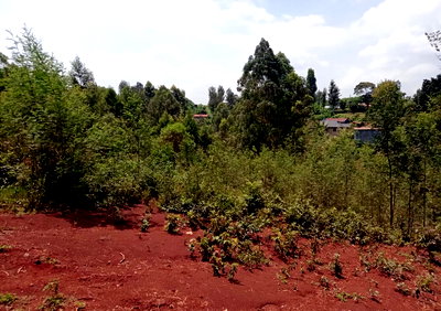 Quarter Acre Garden Plot with Parking