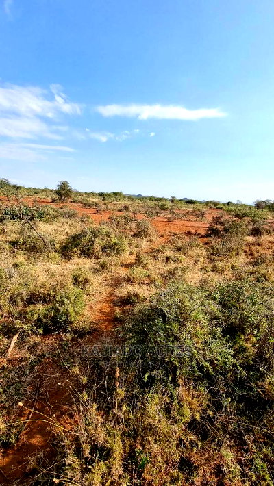 8 Acres Nkorika - Image 5