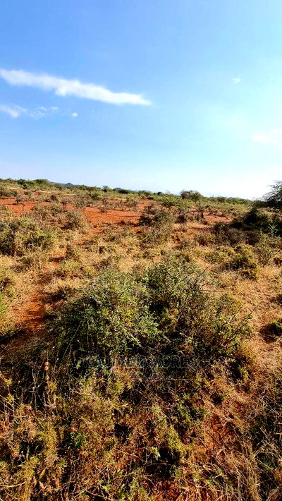 8 Acres Nkorika - Image 3