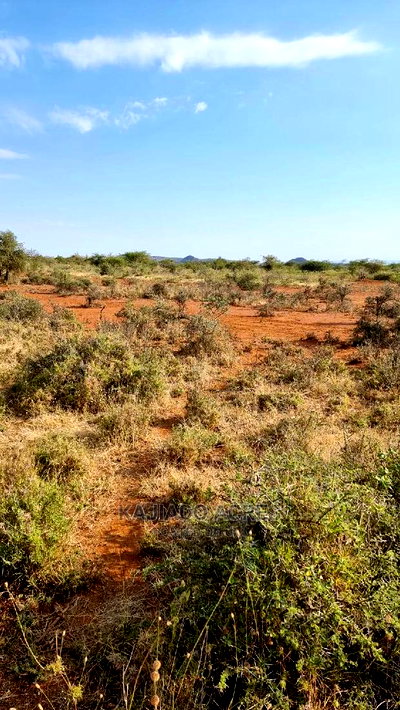 8 Acres Nkorika - Image 1