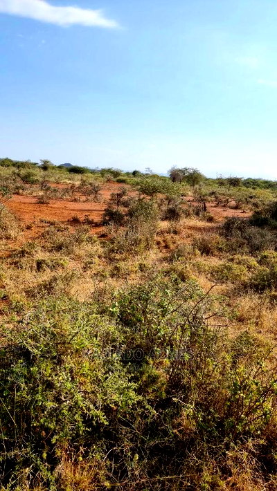 8 Acres Nkorika - Image 2