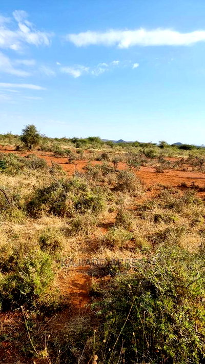 8 Acres Nkorika - Image 4