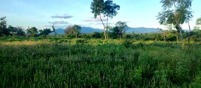 Embu County, Kiambere 5 Acres Agricultural Farmland - Image 10