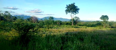 Embu County, Kiambere 5 Acres Agricultural Farmland - Image 9