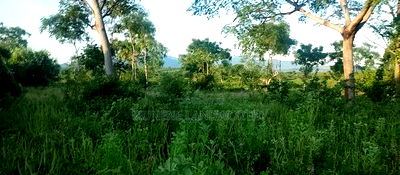 Embu County, Kiambere 5 Acres Agricultural Farmland - Image 3