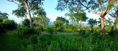 Embu County, Kiambere 5 Acres Agricultural Farmland - Image 2