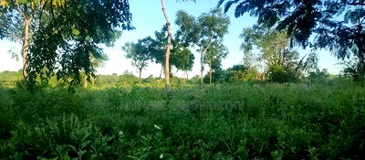 Embu County, Kiambere 5 Acres Agricultural Farmland - Image 5