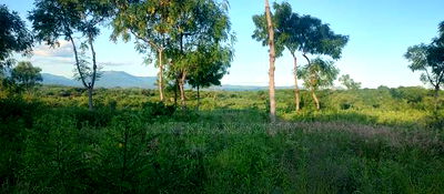 Embu County, Kiambere 5 Acres Agricultural Farmland - Image 4