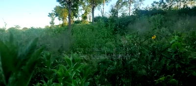Embu County, Kiambere 5 Acres Agricultural Farmland - Image 8