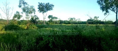 Embu County, Kiambere 5 Acres Agricultural Farmland - Image 1