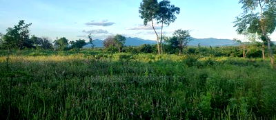Embu County, Kiambere 5 Acres Agricultural Farmland - Image 7