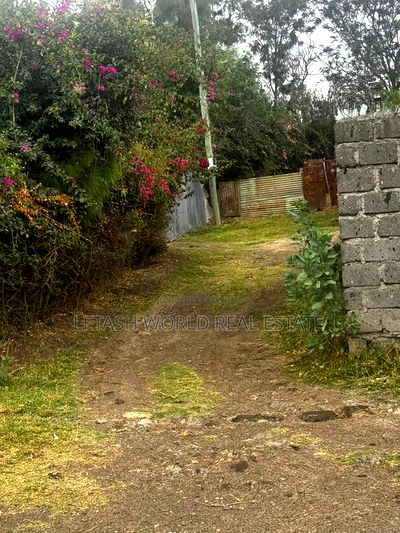 50 by 100 Fr Plot 500 Meters Off Namnga Highway, Behind Quiver - Image 3