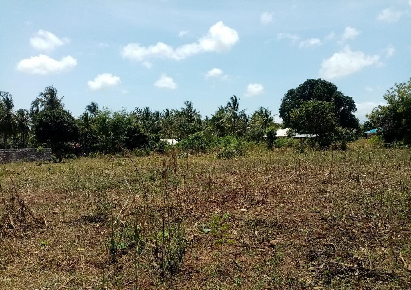 1-Acre Plot at KSh 3.2M