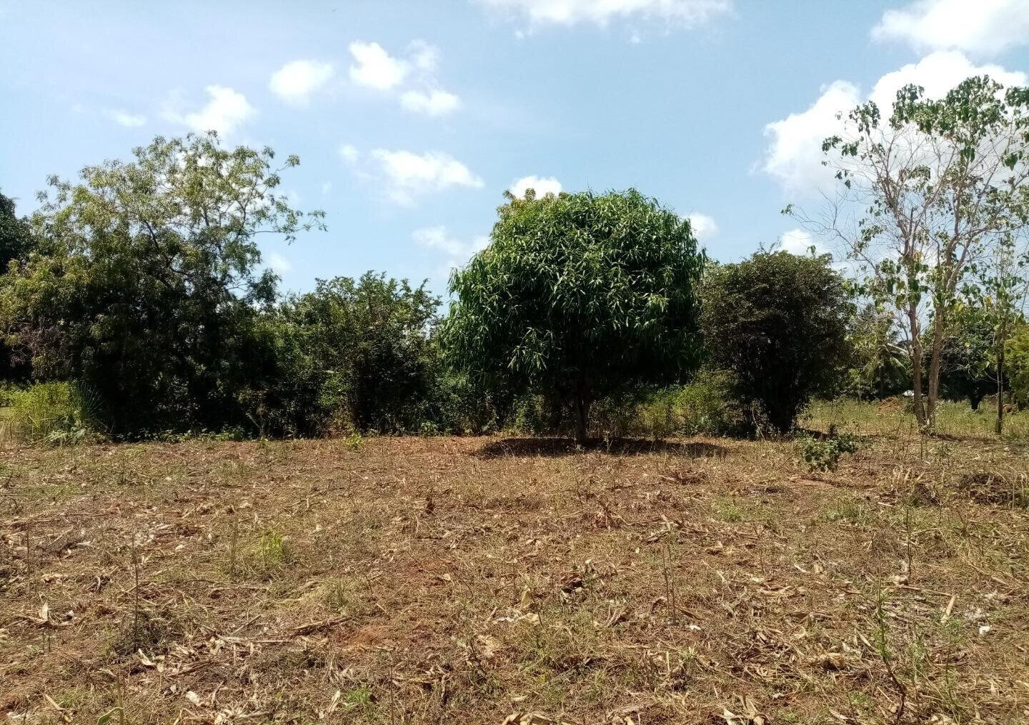 1-Acre Plot at KSh 3.2M