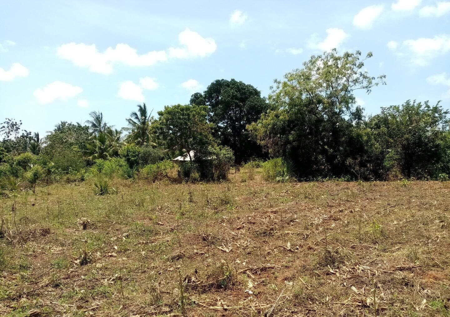 1-Acre Plot at KSh 3.2M