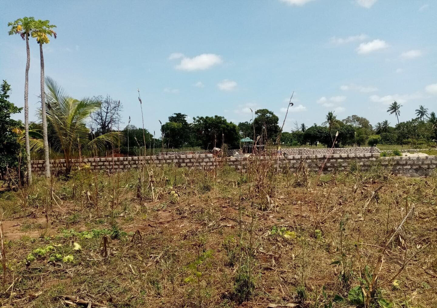 1-Acre Plot at KSh 3.2M