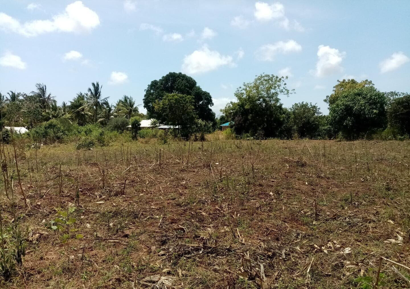 1-Acre Plot at KSh 3.2M